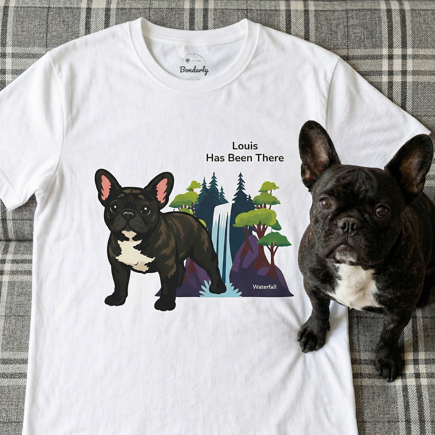 White sweatshirt with Frenchie dog custom design on a bed with a Frenchie dog.