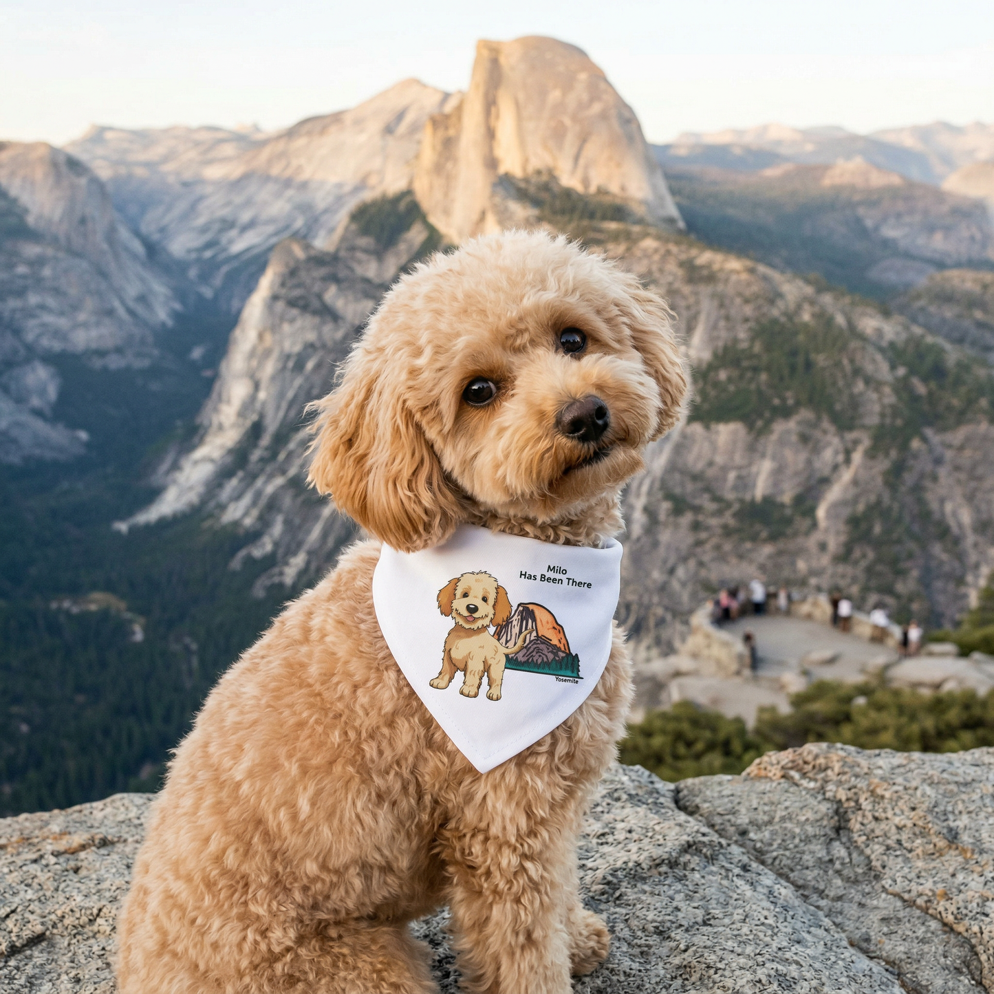 A Poodle dog is wearing Bondarly's personalized dog national park clip-on bandana, sitting at a vista point of Yosemite National Park's Half Dome. National Park Series.