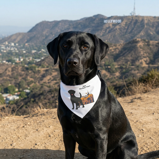 A Labrador dog is wearing Bondarly's personalized dog world travel clip-on bandana, sitting on a trail to the Hollywood sign in Los Angeles. World Travel Series.