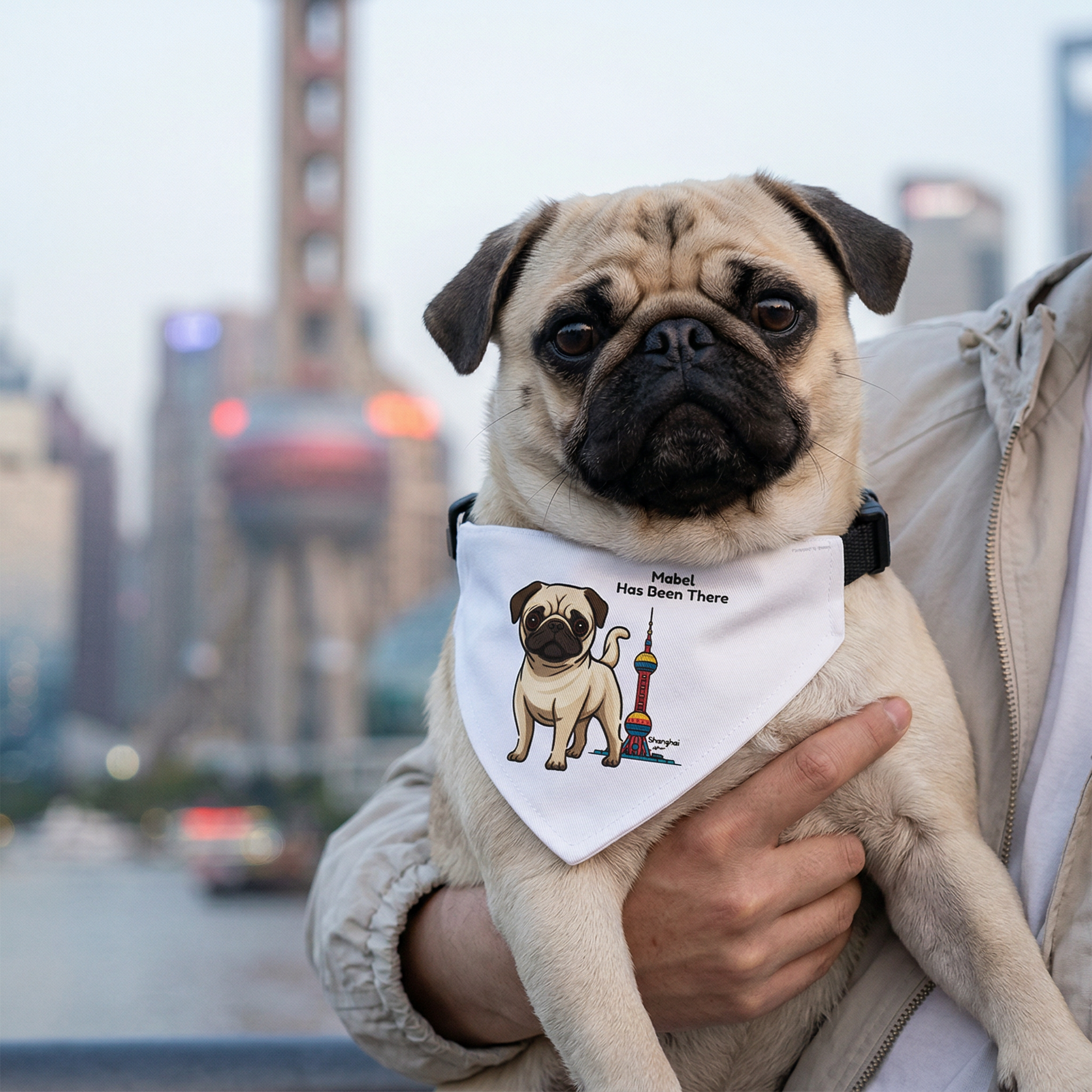 A Pug dog is wearing Bondarly's personalized dog world travel clip-on bandana, held in front of Shanghai's Oriental Pearl TV Tower. World Travel Series.
