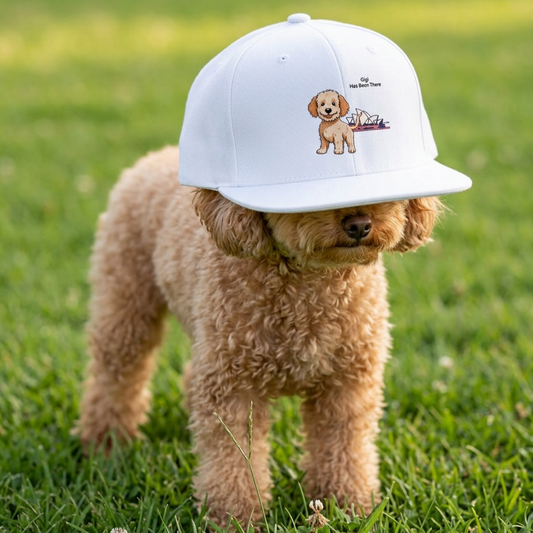 Personalized Dog World Travel Snapback Hat